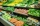 991993.webp