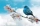 948120.webp