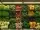 991993.webp
